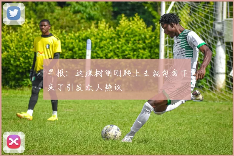 早报：这棵树刚刚爬上去就匆匆下来了引发众人热议