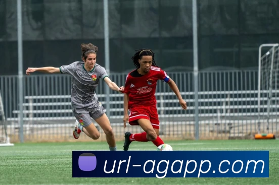 AG娱乐平台生态图